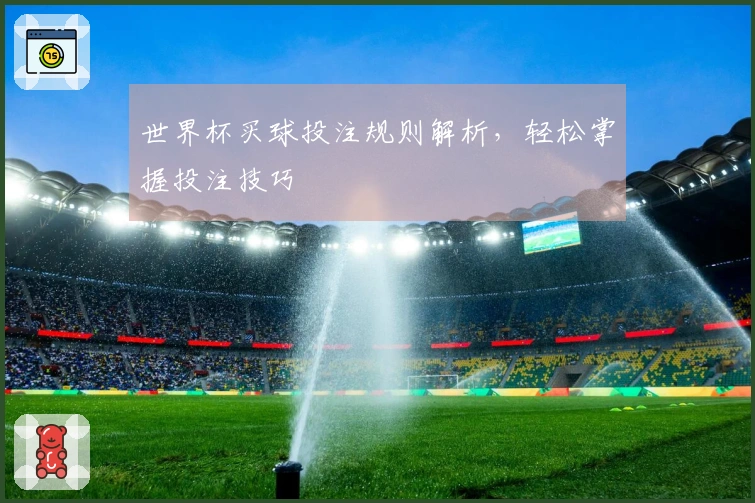 世界杯买球投注规则解析，轻松掌握投注技巧