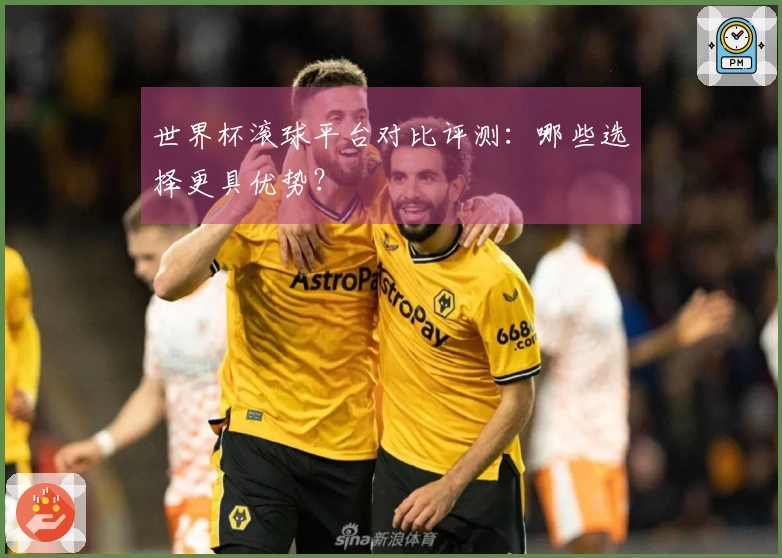 世界杯滚球平台对比评测：哪些选择更具优势？