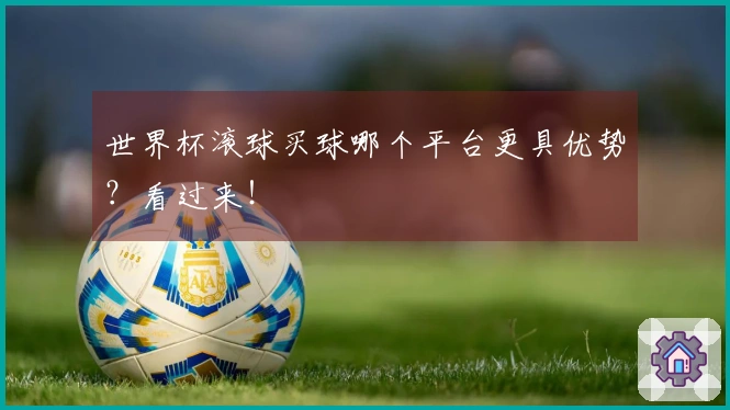 世界杯滚球买球哪个平台更具优势？看过来！