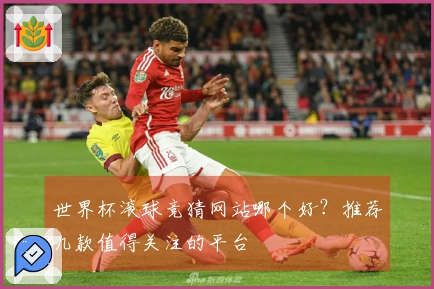 世界杯滚球竞猜网站哪个好？推荐几款值得关注的平台