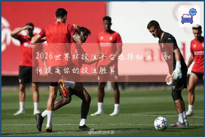 2026世界杯投注平台选择秘诀，如何提高你的投注胜算
