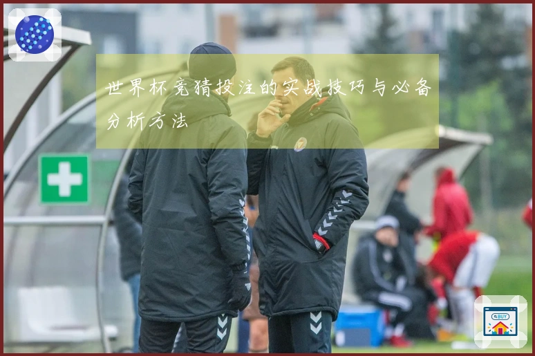 世界杯竞猜投注的实战技巧与必备分析方法