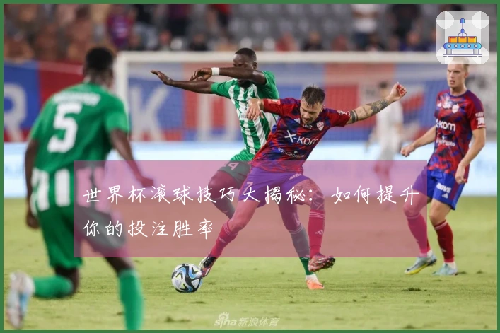 世界杯滚球技巧大揭秘：如何提升你的投注胜率