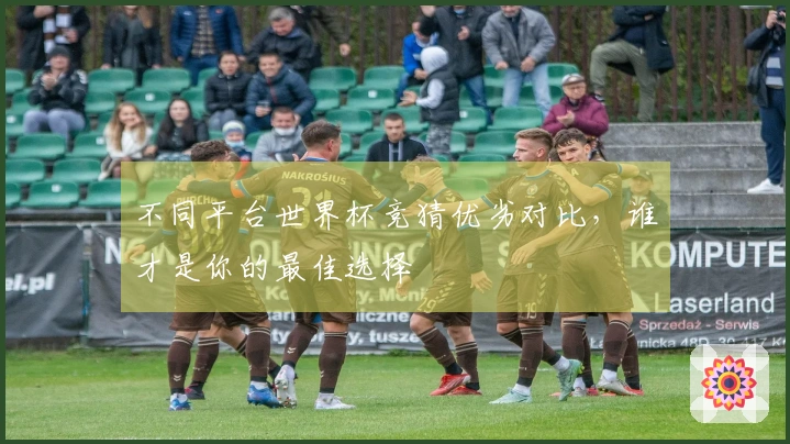 不同平台世界杯竞猜优劣对比，谁才是你的最佳选择