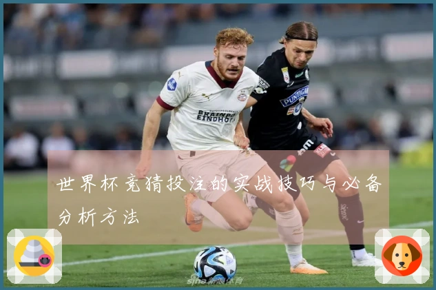 世界杯竞猜投注的实战技巧与必备分析方法