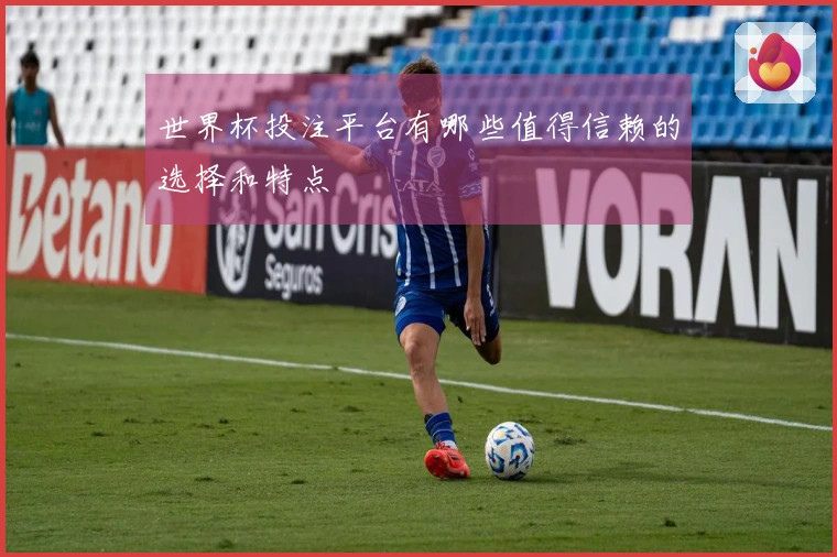 世界杯投注平台有哪些值得信赖的选择和特点