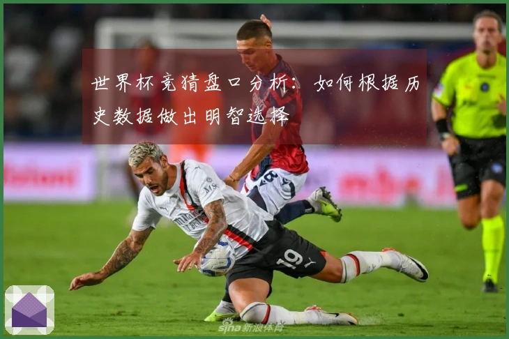 世界杯竞猜盘口分析：如何根据历史数据做出明智选择