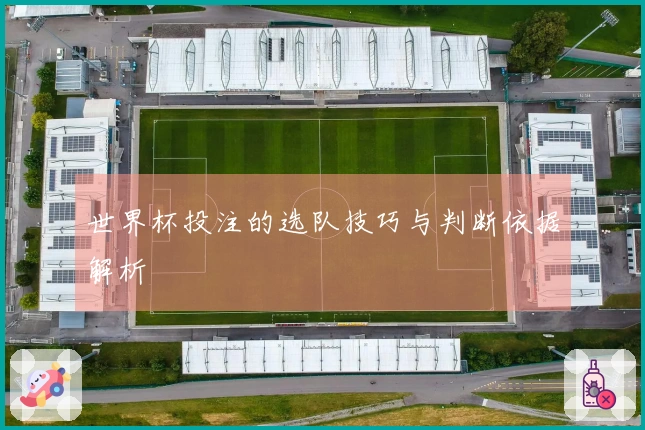世界杯投注的选队技巧与判断依据解析