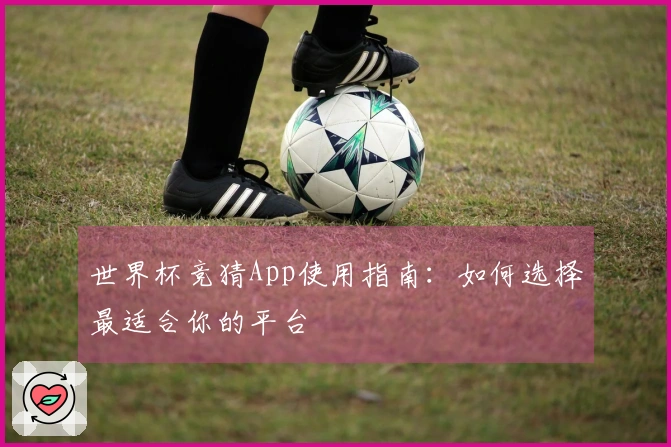 世界杯竞猜App使用指南：如何选择最适合你的平台